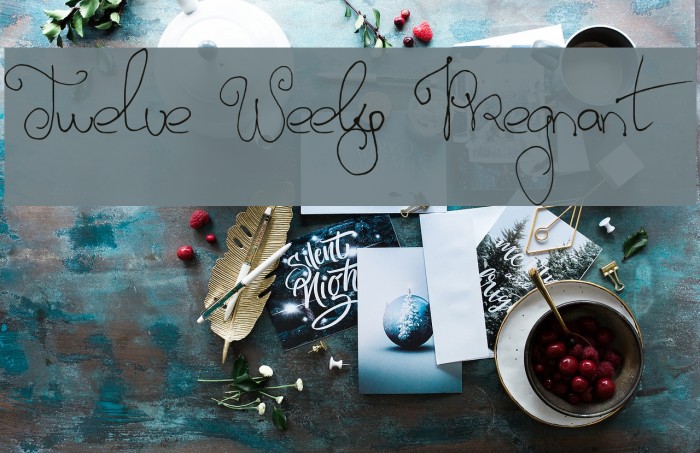 Twelve Weeks Pregnant Font examples
