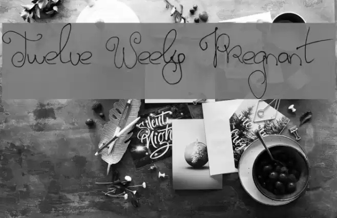 Twelve Weeks Pregnant Font examples