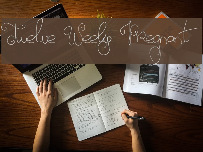 Twelve Weeks Pregnant Font examples