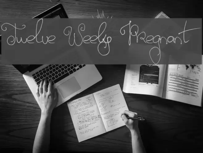 Twelve Weeks Pregnant Font examples