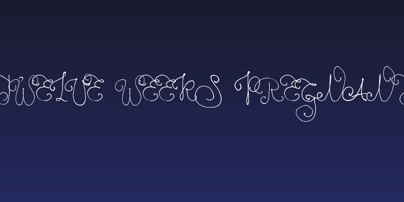 Twelve Weeks Pregnant Social Header