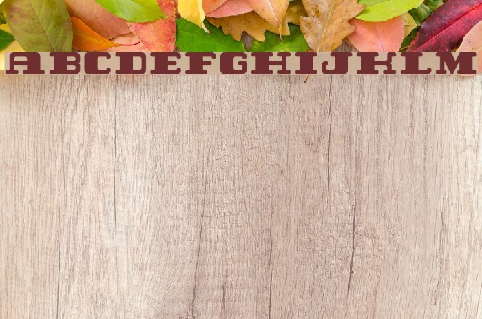 Twent Font examples