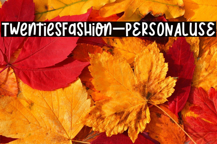 TwentiesFashion_PERSONALUSE Example 2