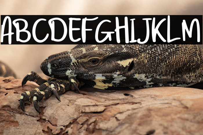 Twenty Senja Example 2