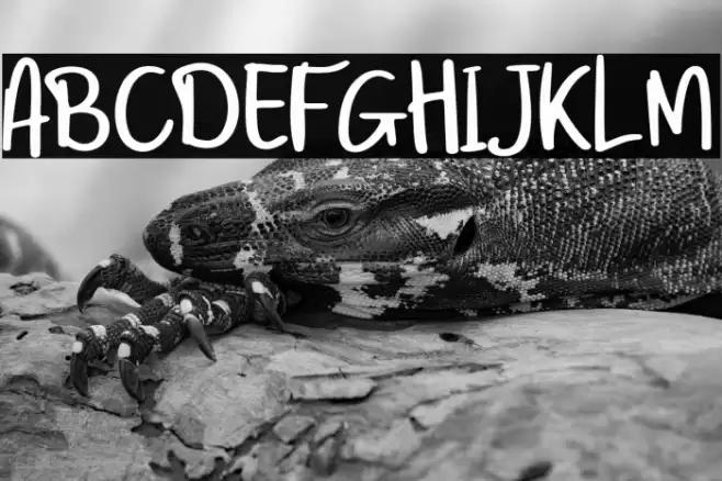 Twenty Senja Font examples