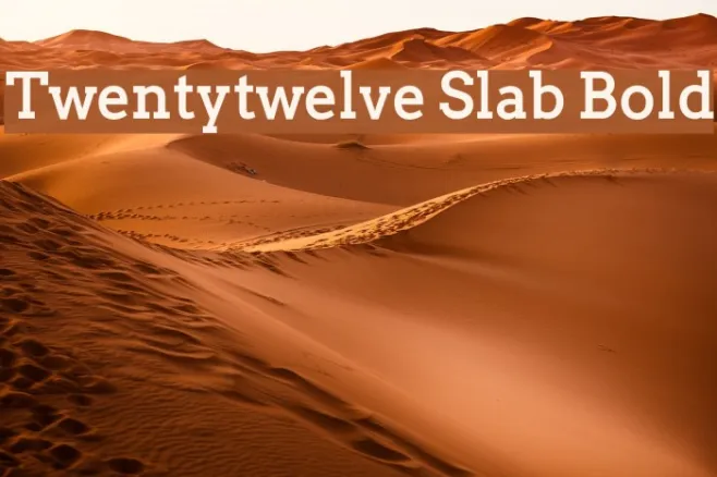 Twentytwelve Slab Bold Example 1