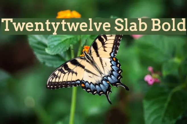 Twentytwelve Slab Bold Example 2