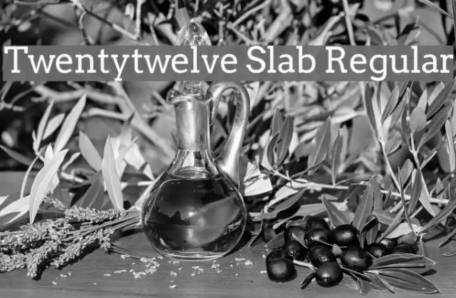 Twentytwelve Slab Regular Font examples