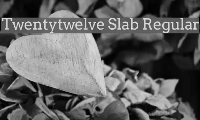 Twentytwelve Slab Regular Font examples