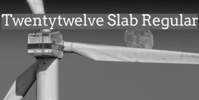 Twentytwelve Slab Regular Font examples