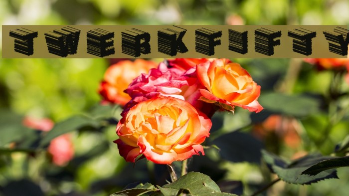 TwerkFifty لخطوط تنزيل examples