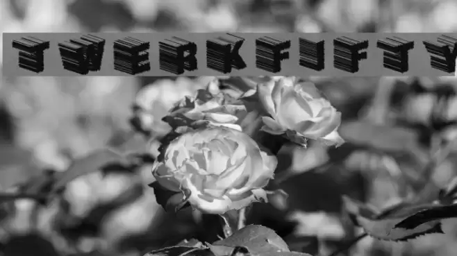TwerkFifty Font examples