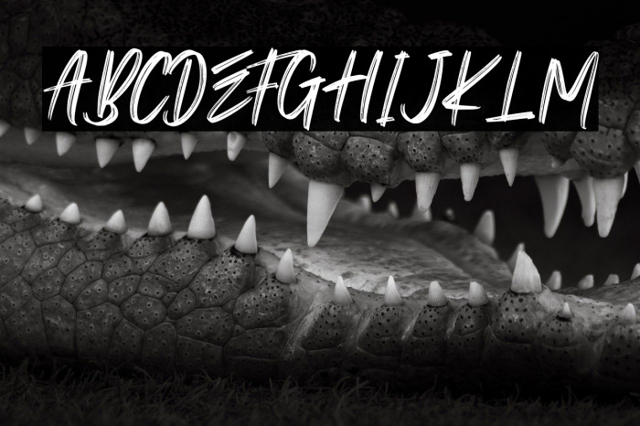 Twice Spoiller - Personal Use Example 1