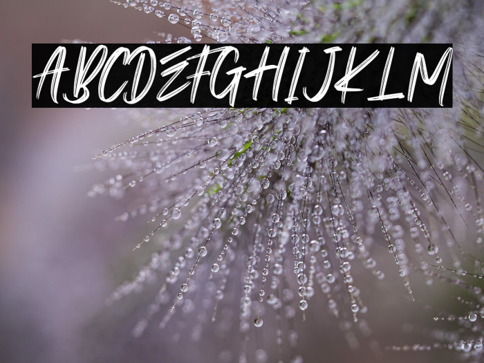 Twice Spoiller - Personal Use Example 3