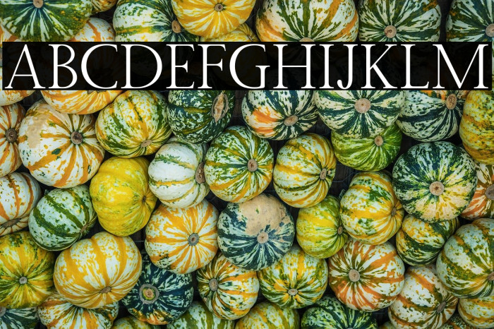 Twice Writing Serif Example 2