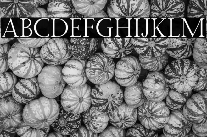 Twice Writing Serif Caratteri examples