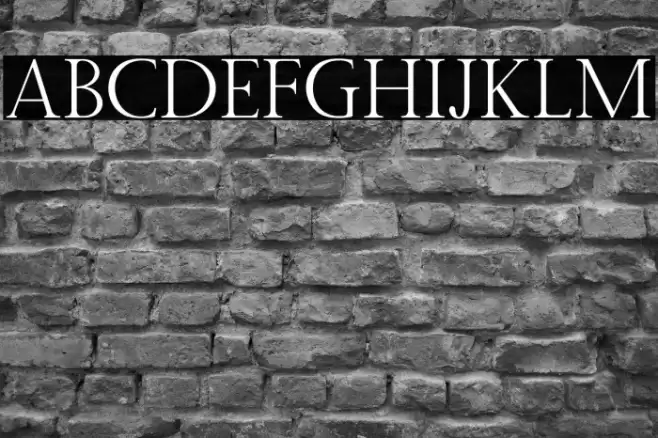 Twice Writing Serif Caratteri examples