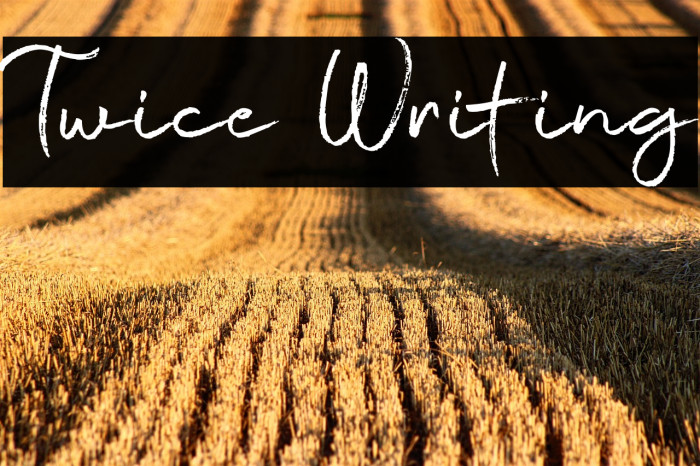 Twice Writing Example 2