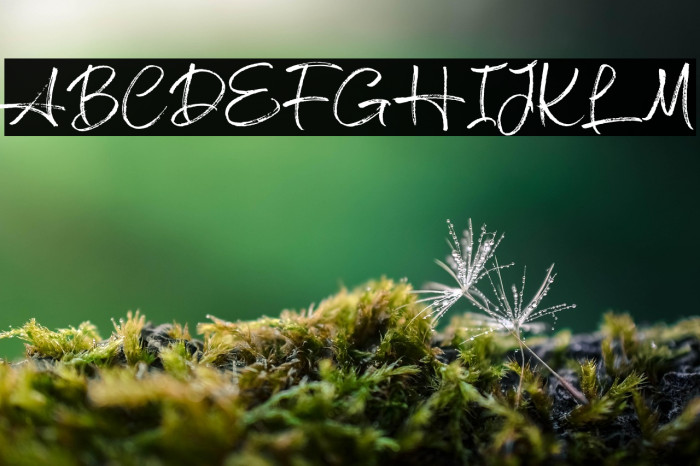 TwiceWriting Example 2