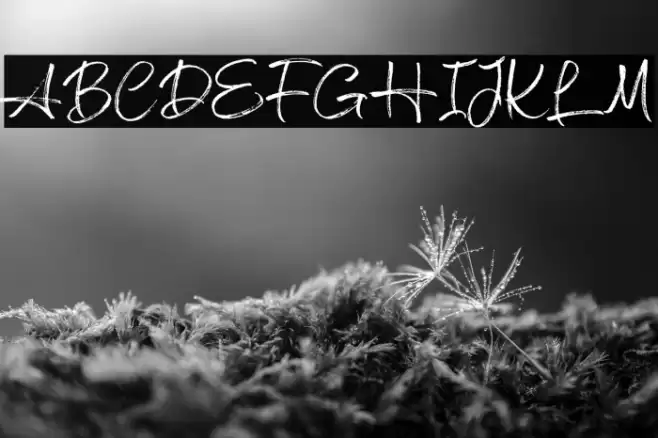 TwiceWriting Caratteri examples