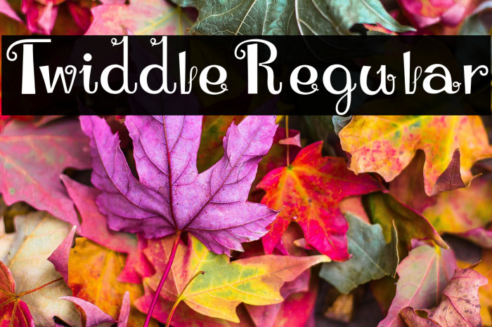 TwiddleRegular Example 3