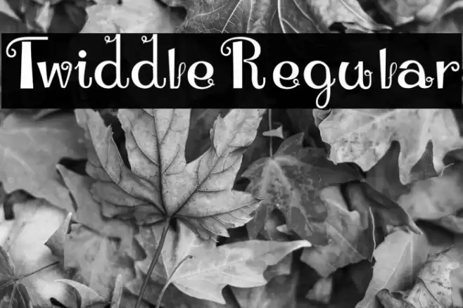 TwiddleRegular Caratteri examples