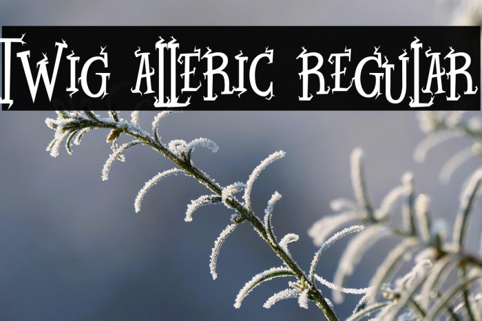Twig Alleric Regular Example 2