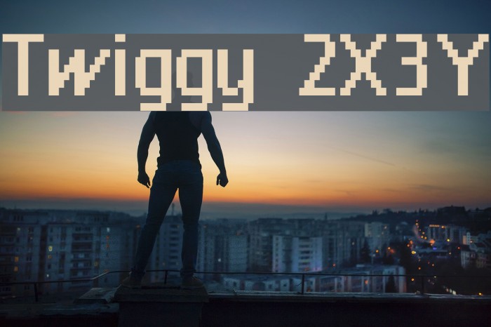 Twiggy 2X3Y Font examples