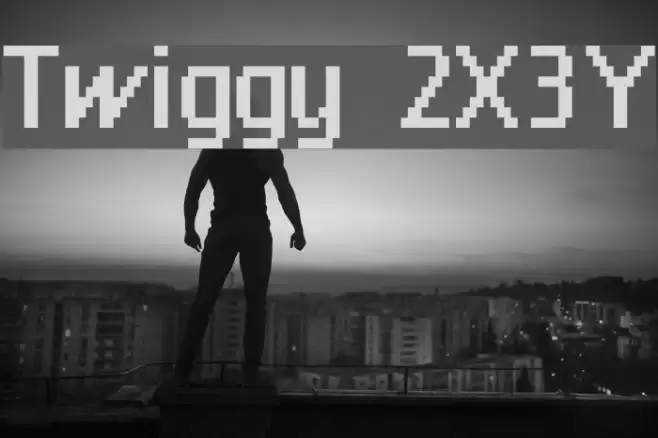 Twiggy 2X3Y Font examples