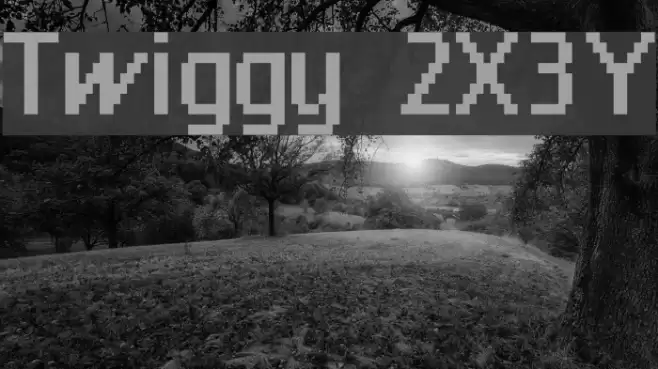 Twiggy 2X3Y Font examples