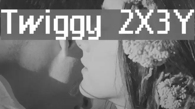 Twiggy 2X3Y Font examples