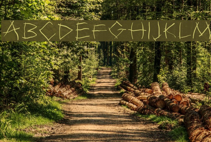 Twiggy-Light Font examples