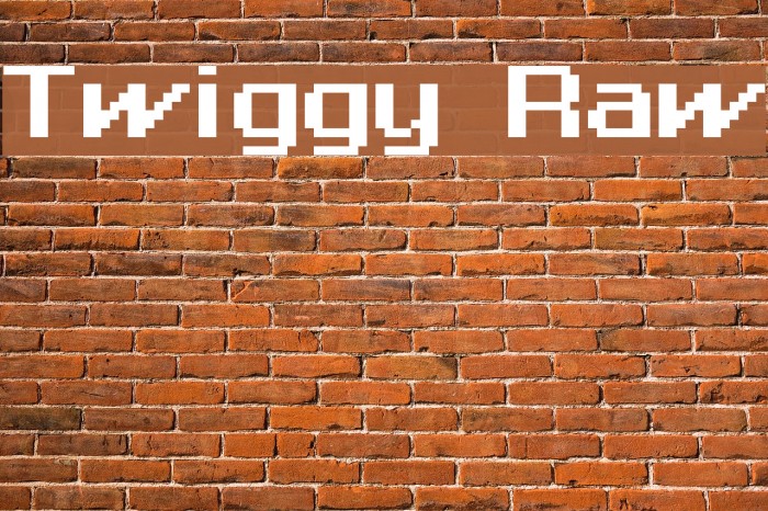 Twiggy Raw Font examples