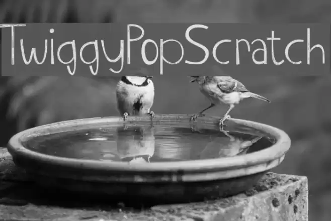 TwiggyPopScratch Font examples