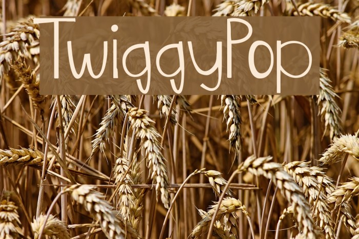 TwiggyPop Font examples