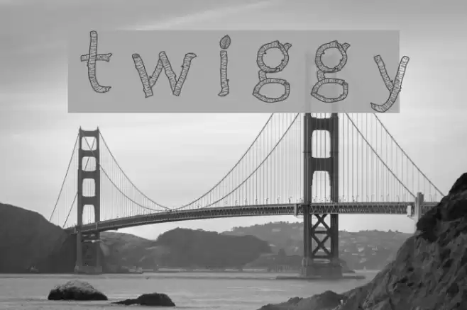 Twiggy Font examples