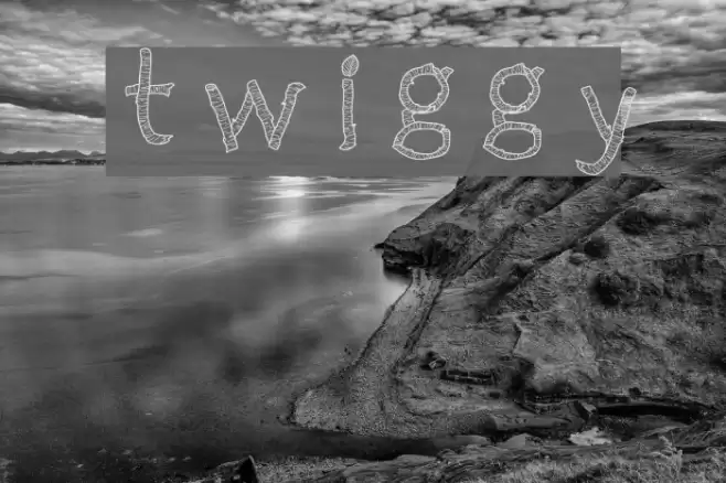 Twiggy Font examples