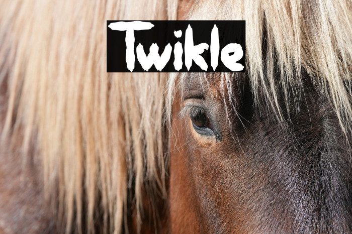 Twikle Example 3