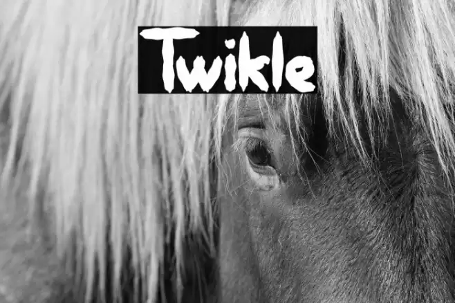 Twikle Font examples