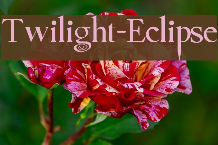Twilight-Eclipse Example 1