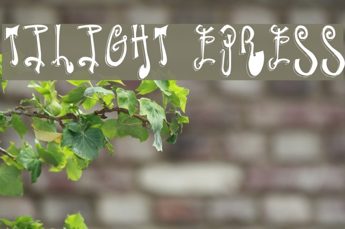 Twilight Express Fonte examples
