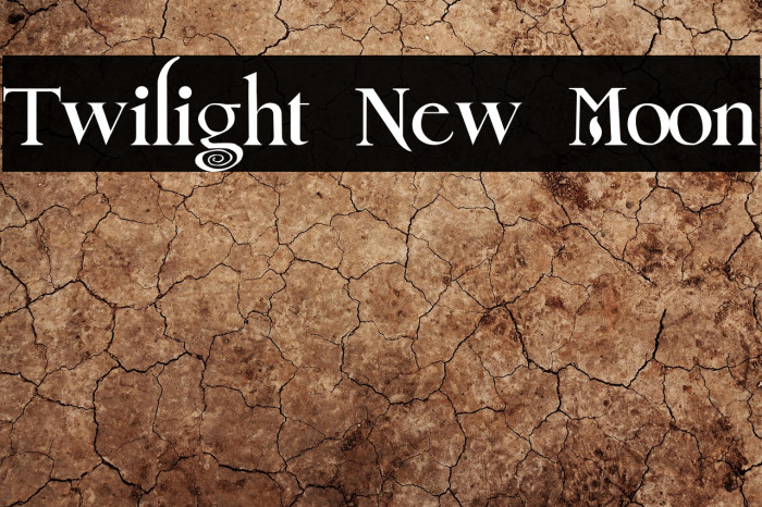 Twilight New Moon Example 2