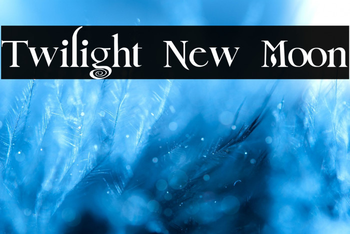 Twilight New Moon Example 3