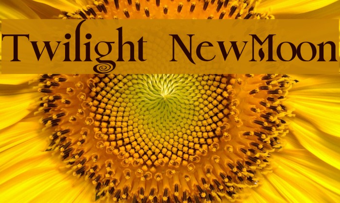 Twilight NewMoon Font examples