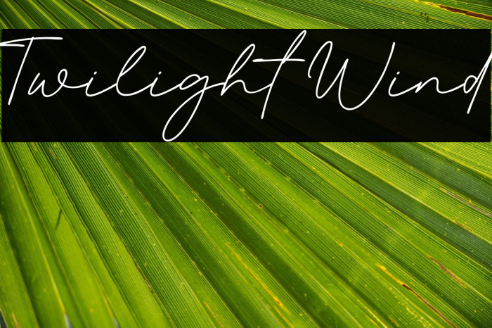 Twilight Wind Example 2