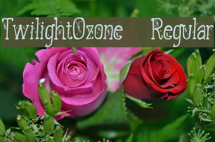 TwilightOzone-Regular Font examples