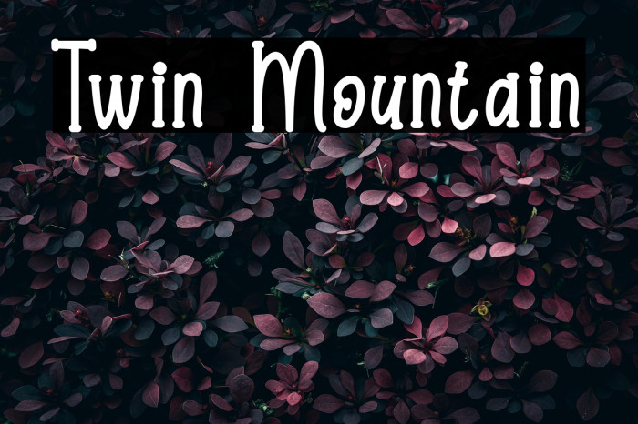 Twin Mountain Example 1