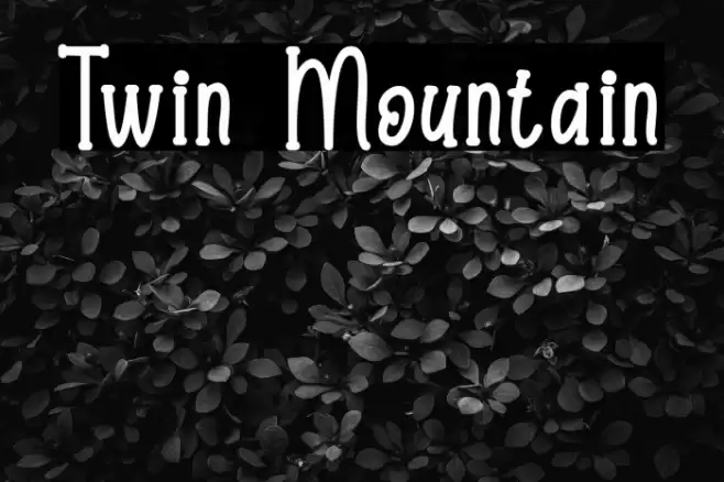 Twin Mountain Font examples