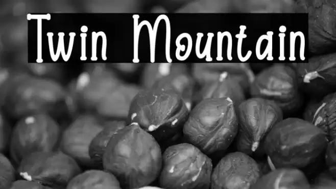 Twin Mountain Font examples