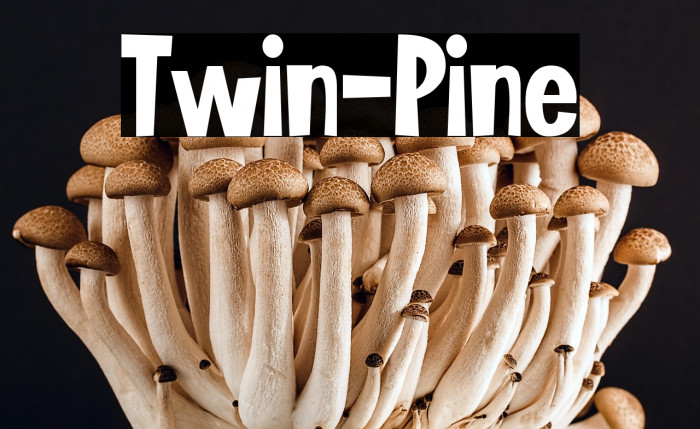 Twin-Pine Example 1